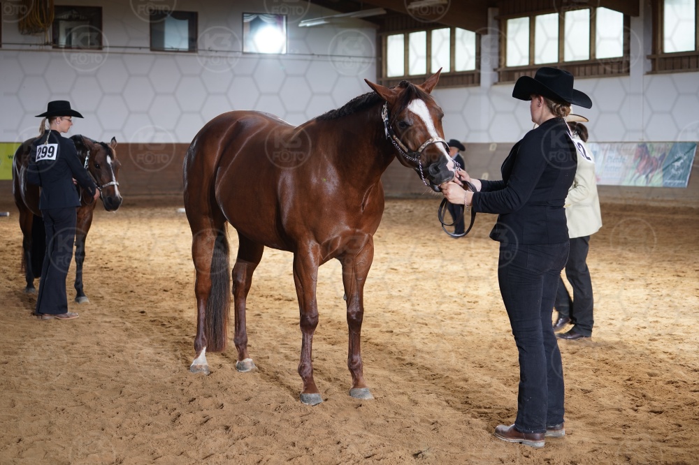 s_A9_04108.jpg
